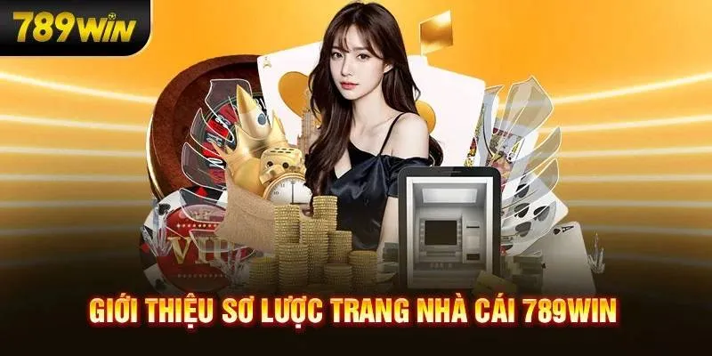 Tổng quan thông tin giới thiệu về đối tác 789WIN
